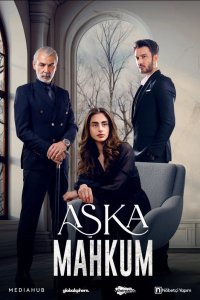 Заключенный любви